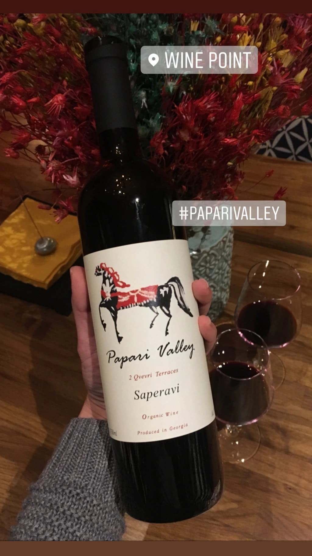 Wine Saperavi bottle